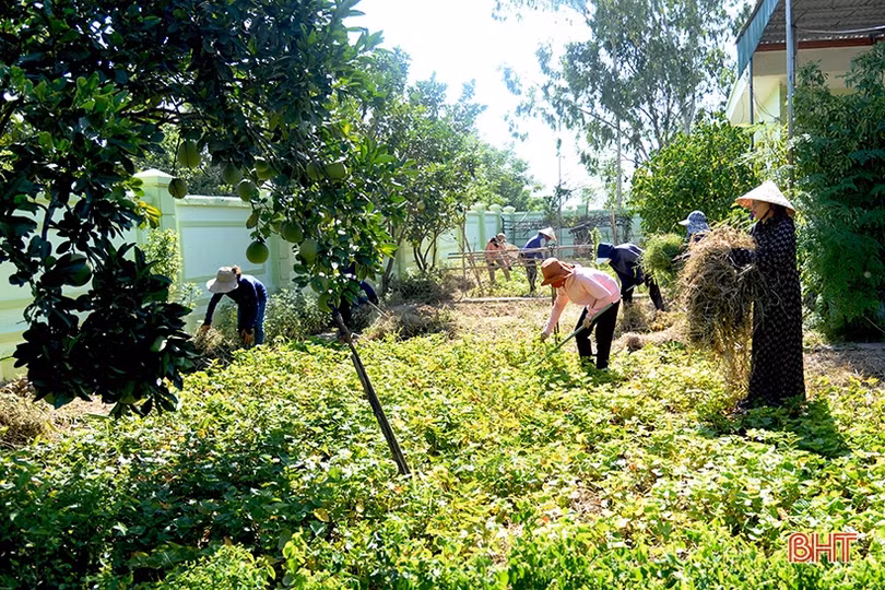 Tất bật chăm vườn rau bán trú ở các trường mầm non