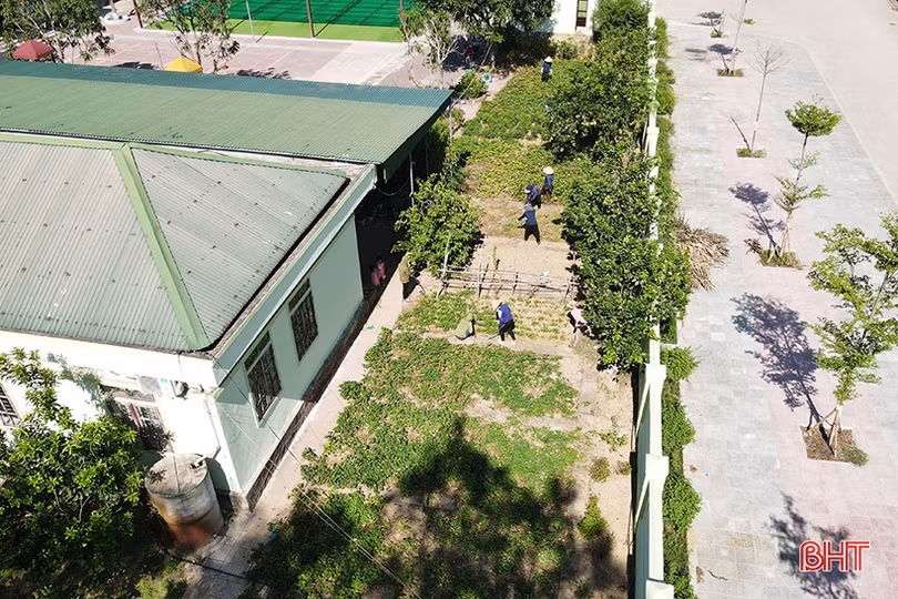 Tất bật chăm vườn rau bán trú ở các trường mầm non