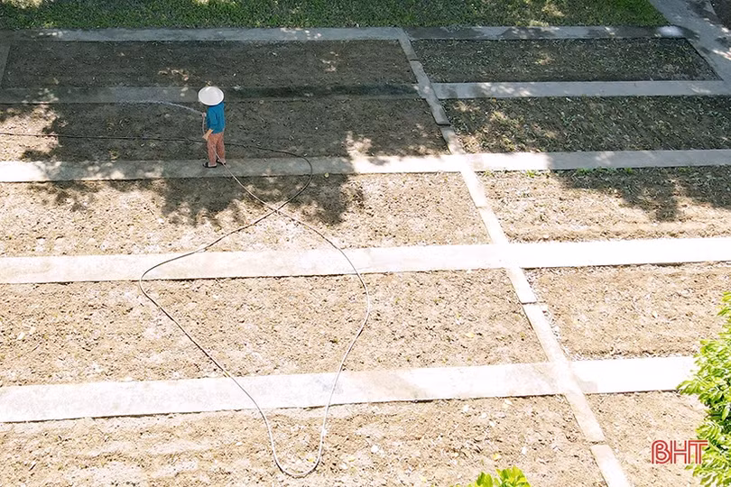 Tất bật chăm vườn rau bán trú ở các trường mầm non