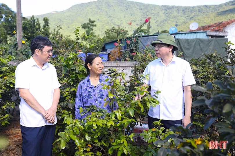 Kỳ Nam nỗ lực “gỡ” các tiêu chí khó, phấn đấu lên phường vào năm 2024