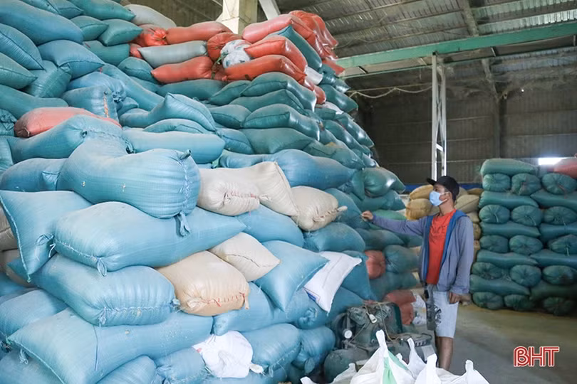 Giá gạo tăng “nóng” làm khó cơ sở sản xuất, doanh nghiệp xuất khẩu