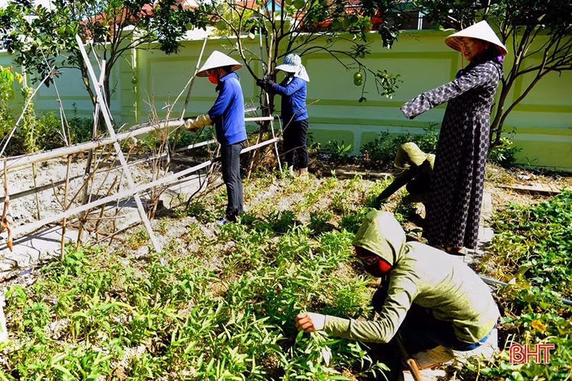 Tất bật chăm vườn rau bán trú ở các trường mầm non