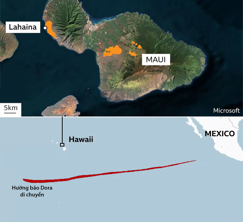 Bão lửa Hawaii là thảm họa “có thể đoán trước”
