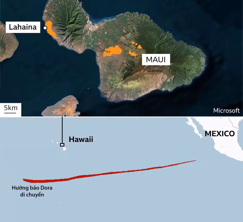Bão lửa Hawaii là thảm họa “có thể đoán trước”