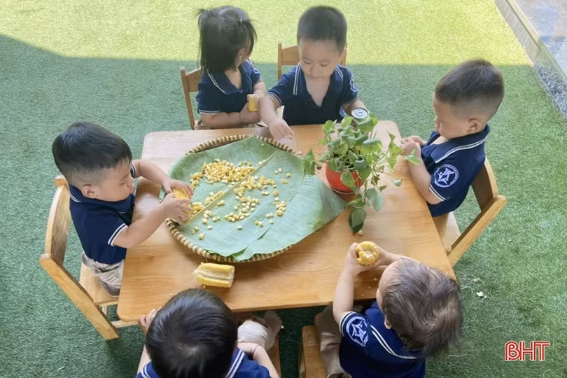 Hấp dẫn các hoạt động ngoại khóa ở Trường Mầm non Trung Kiên