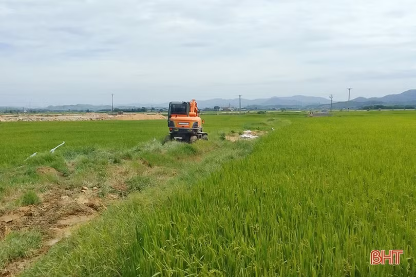 Cẩm Xuyên xuất hiện dịch tả lợn châu Phi