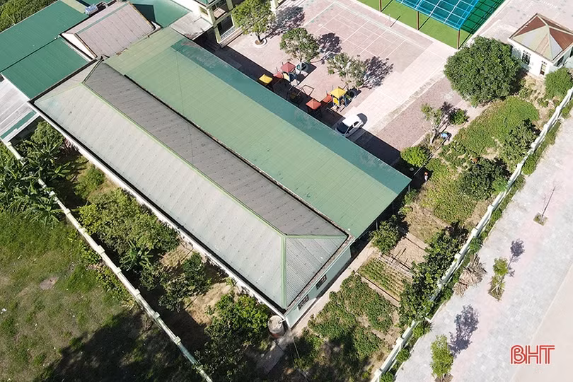 Tất bật chăm vườn rau bán trú ở các trường mầm non