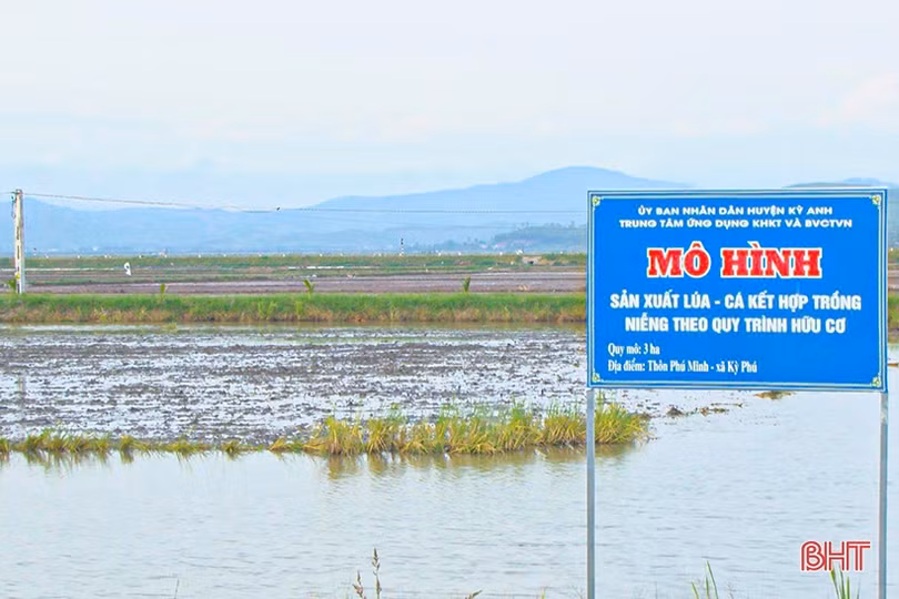 Anh nông dân bám đất, bám ruộng, tìm hướng phát triển kinh tế mới