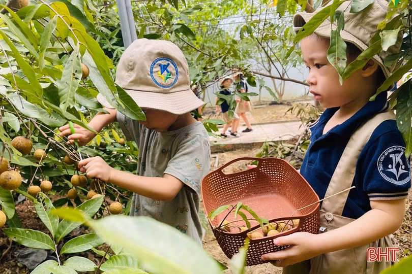 Hấp dẫn các hoạt động ngoại khóa ở Trường Mầm non Trung Kiên