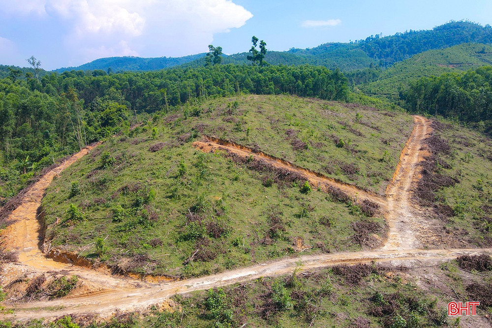 Dự kiến phân bổ quỹ đất: đất công trình dịch vụ khoảng 2,4 ha; đất sân golf 72,1 ha; bãi đỗ xe 0,8 ha; công trình hạ tầng kỹ thuật khác và phụ trợ 1 ha; mặt nước 6,9 ha; đất giao thông 3 ha.