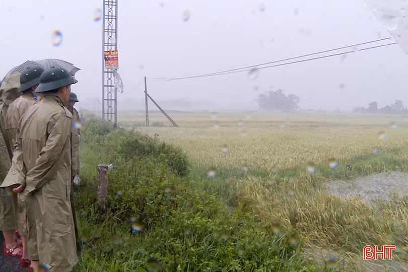 Theo dõi chặt diễn biến mưa lũ, chủ động sơ tán dân vùng nguy cơ xảy ra lũ quét