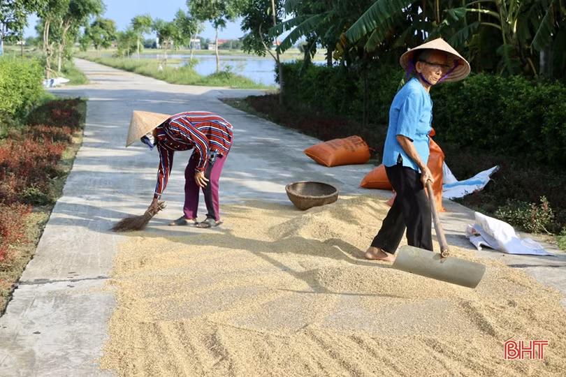 Nông dân Hà Tĩnh bì bõm gặt lúa ngập sâu trong nước lũ