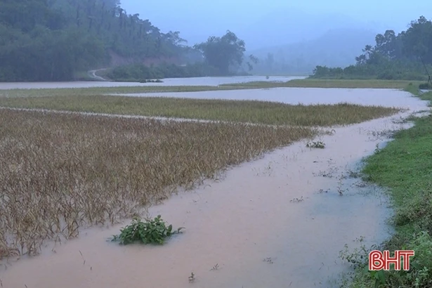 Mưa to, 10 xã huyện miền núi Hương Khê ngập cục bộ, Vũ Quang đề phòng lũ lớn