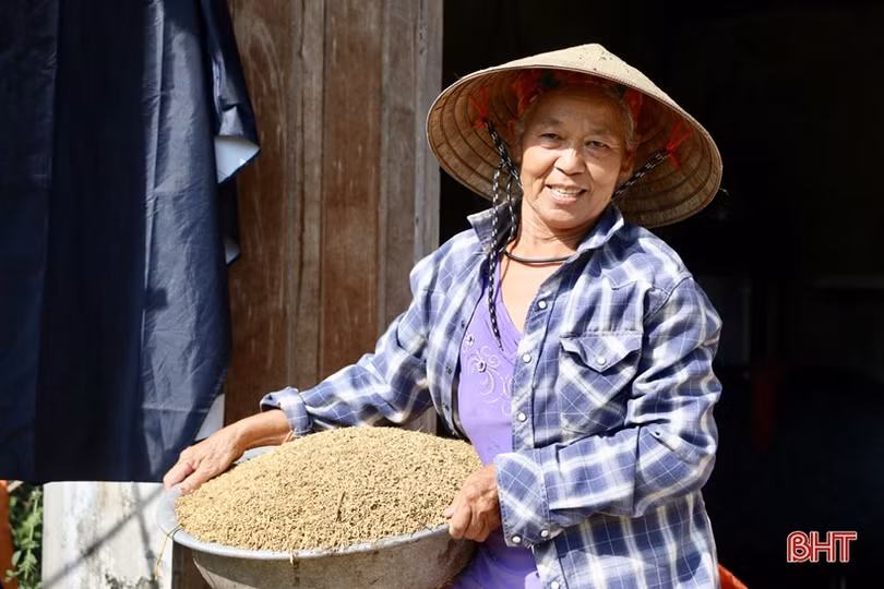 Nông dân Hà Tĩnh bì bõm gặt lúa ngập sâu trong nước lũ