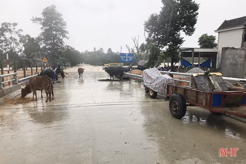 Nước vây tứ phía, người dân Hương Khê tất tưởi ôm đồ chạy lũ