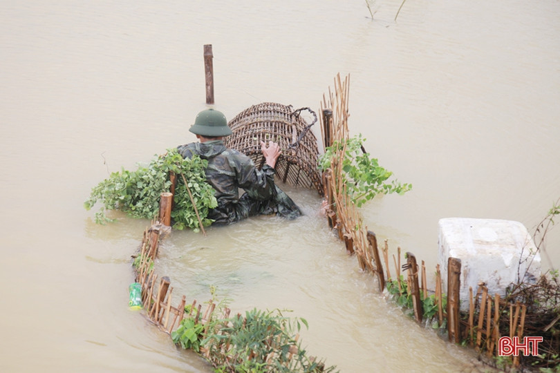 Người dân Hà Tĩnh liều mình đánh bắt cá giữa dòng nước lũ