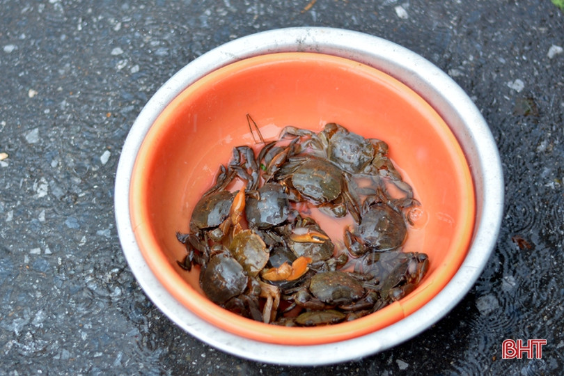 Mưu sinh ngày mưa ở Hà Tĩnh...