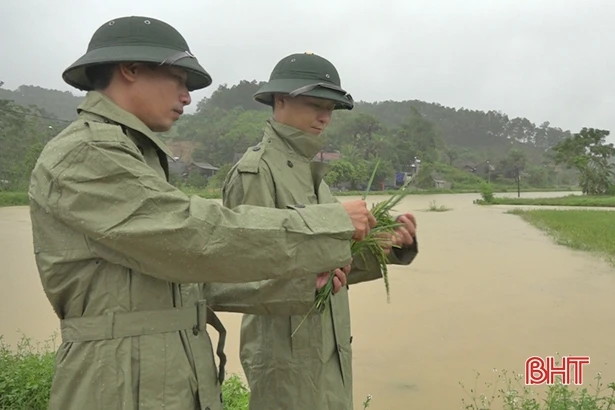 Mưa to, 10 xã huyện miền núi Hương Khê ngập cục bộ, Vũ Quang đề phòng lũ lớn