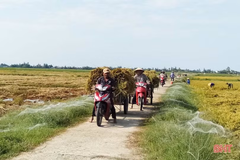 Nông dân Hà Tĩnh sau mưa lũ: Một ngày nắng bằng vạn ngày mưa