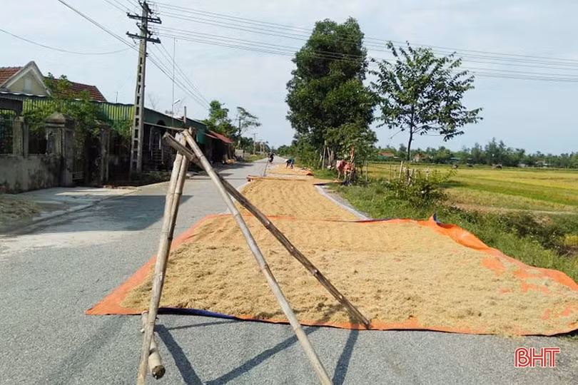 Nông dân Hà Tĩnh sau mưa lũ: Một ngày nắng bằng vạn ngày mưa