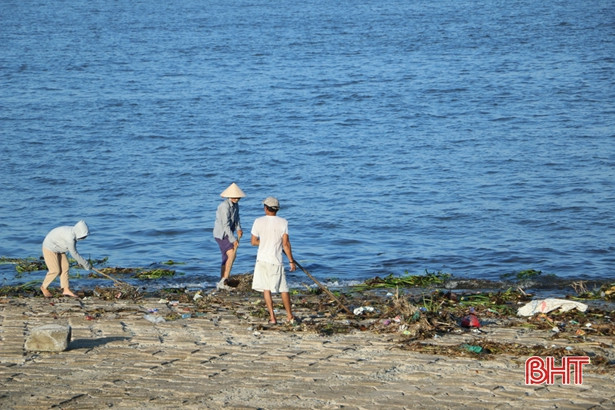 Người dân xã Cẩm Nhượng vớt bèo tây, rác thải dọc tuyến kè biển sau mưa bão