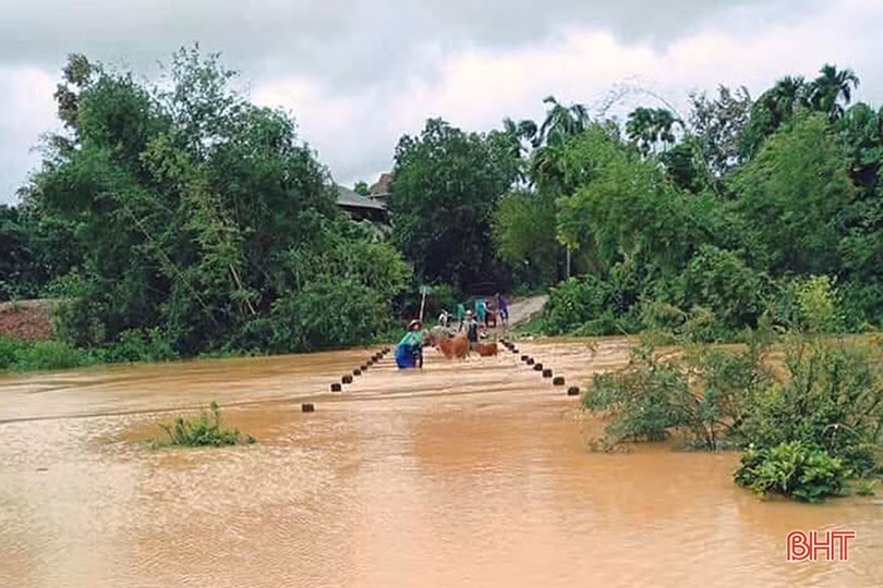 Theo dõi chặt diễn biến mưa lũ, chủ động sơ tán dân vùng nguy cơ xảy ra lũ quét