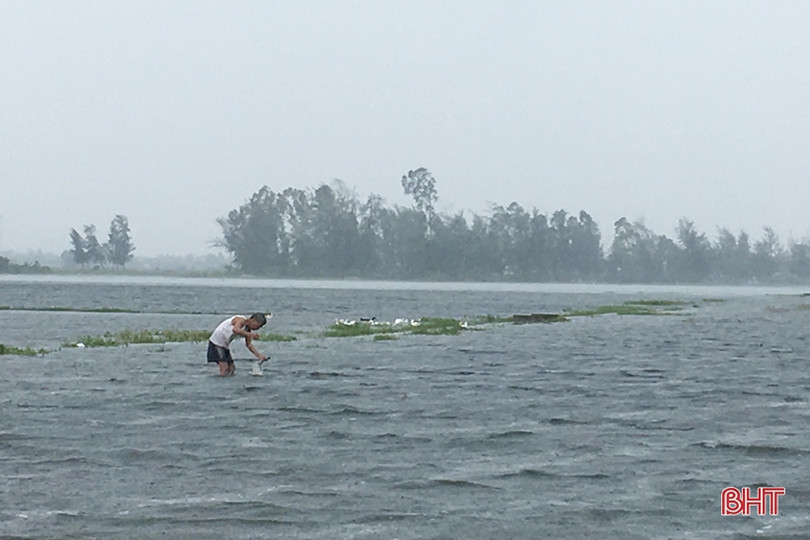 Người dân Hà Tĩnh liều mình đánh bắt cá giữa dòng nước lũ