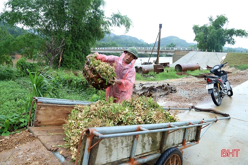Mưa kết hợp thủy điện xả lũ, nước sông Ngàn Phố vùng hạ Hương Sơn dâng nhanh