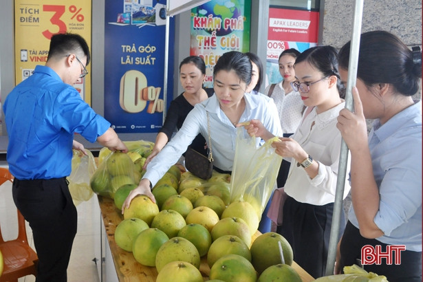 Chính phủ cấp 1.000 tấn gạo hỗ trợ nhân dân vùng lũ Hà Tĩnh