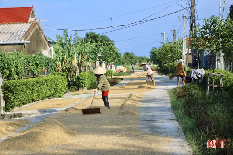 Nông dân Hà Tĩnh bì bõm gặt lúa ngập sâu trong nước lũ