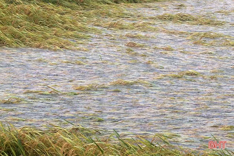 Theo dõi chặt diễn biến mưa lũ, chủ động sơ tán dân vùng nguy cơ xảy ra lũ quét