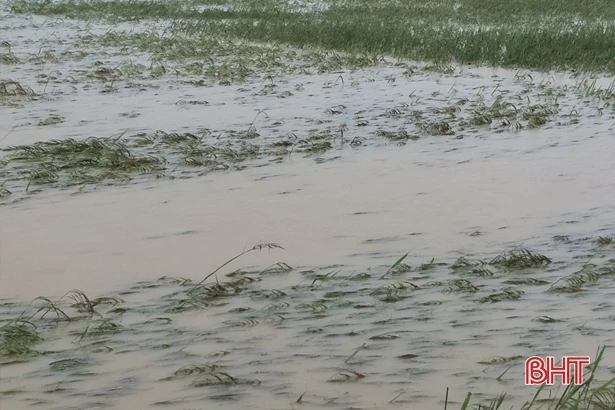 Mưa to, 10 xã huyện miền núi Hương Khê ngập cục bộ, Vũ Quang đề phòng lũ lớn