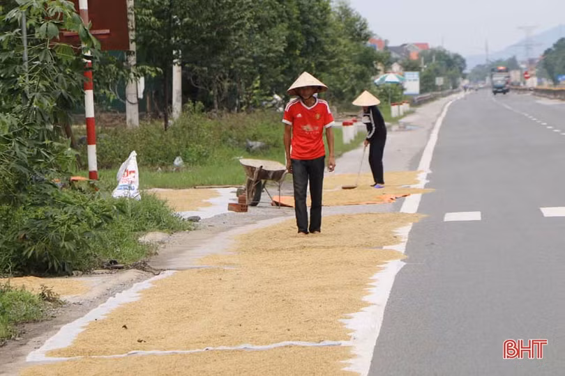 Nông dân Hà Tĩnh sau mưa lũ: Một ngày nắng bằng vạn ngày mưa