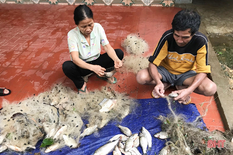 Người dân Hà Tĩnh liều mình đánh bắt cá giữa dòng nước lũ