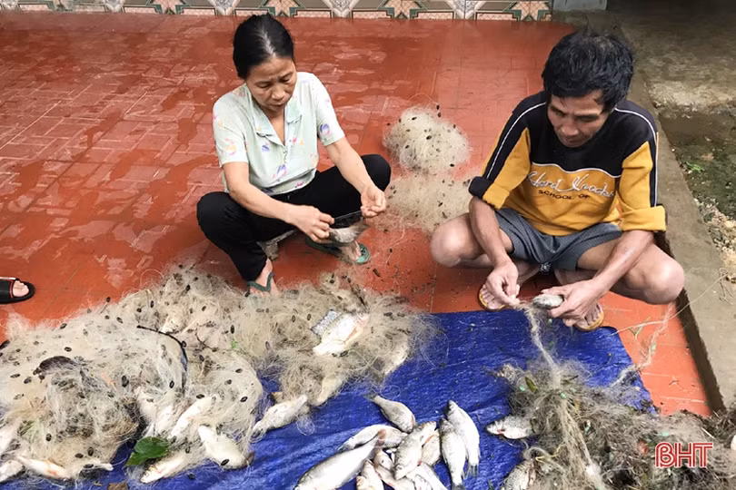 Người dân Hà Tĩnh liều mình đánh bắt cá giữa dòng nước lũ