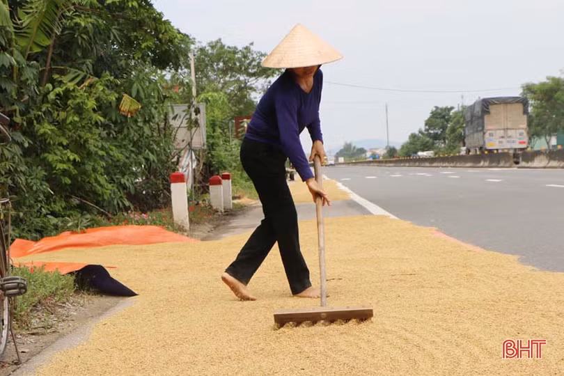 Nông dân Hà Tĩnh sau mưa lũ: Một ngày nắng bằng vạn ngày mưa