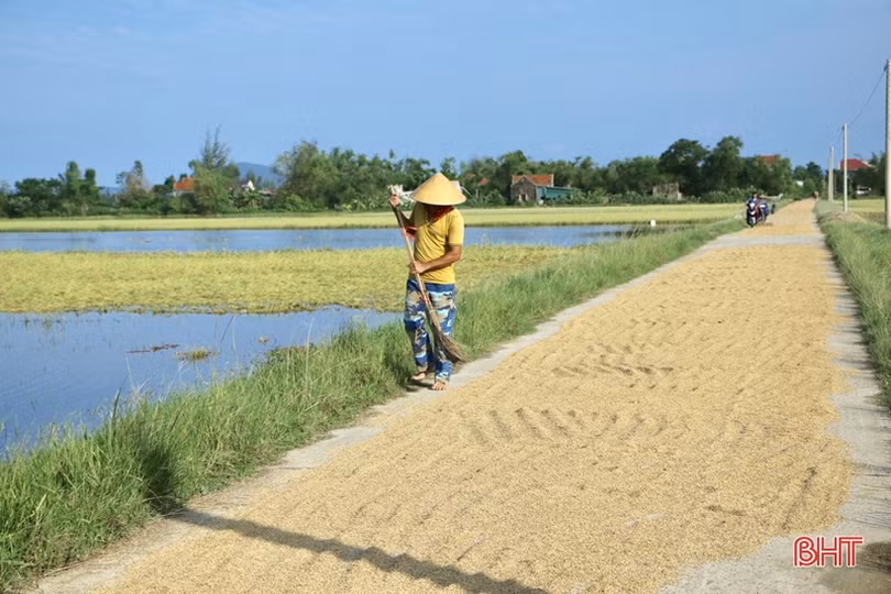 Nông dân Hà Tĩnh bì bõm gặt lúa ngập sâu trong nước lũ