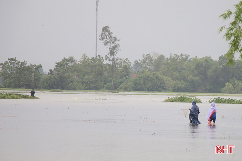 Người dân Hà Tĩnh liều mình đánh bắt cá giữa dòng nước lũ