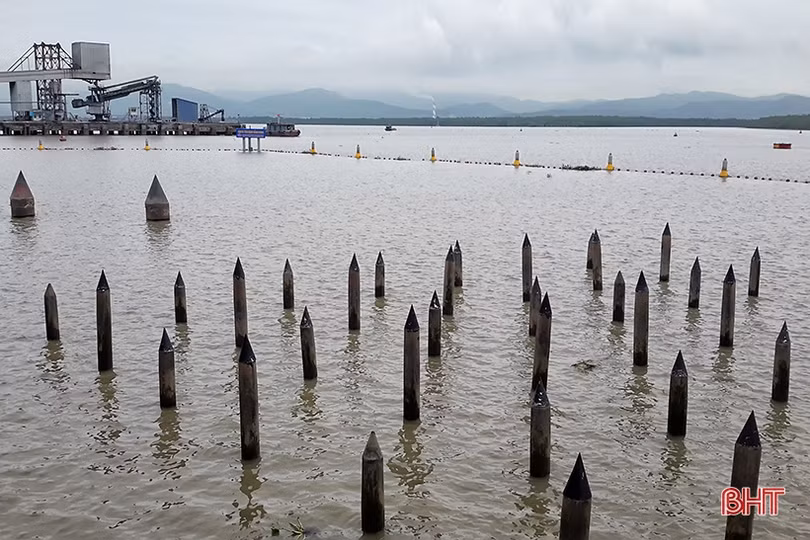 Âm vang tiếng sóng Bạch Đằng