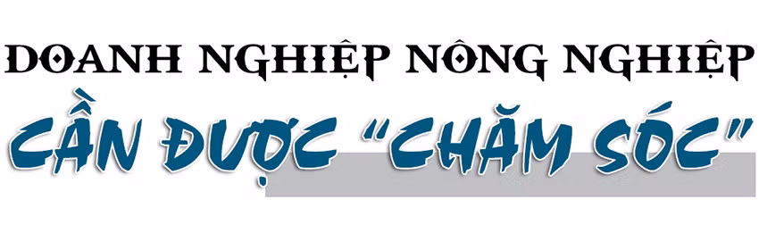 Vụ đông hàng hóa và những bước “giật lùi” (Bài 3): Đầu tư “trúng đích”, giành lại vị thế!