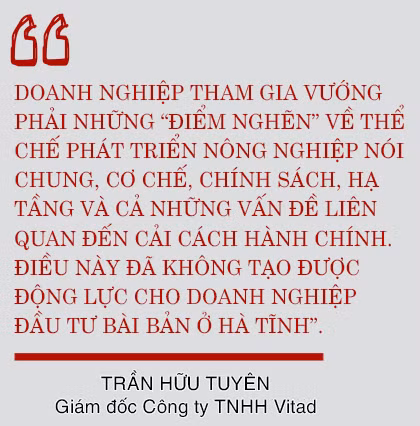 Vụ đông hàng hóa và những bước “giật lùi” (Bài 3): Đầu tư “trúng đích”, giành lại vị thế!