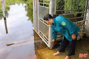 "Sống chung với lũ" giữa mùa hè
