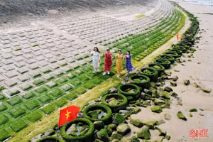 Khám phá "Rạn Nam Ô" xanh mướt bên bờ biển Hà Tĩnh