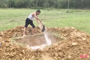 Đức Đồng tiêu huỷ hơn 22 tấn lợn hơi nhiễm dịch tả lợn châu Phi