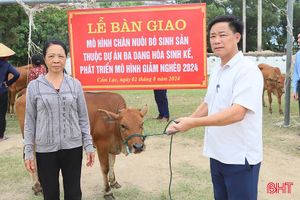 Trao bò sinh sản hỗ trợ người dân Cẩm Xuyên vươn lên thoát nghèo