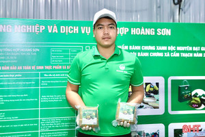 Bánh chưng xanh Bộc Nguyên – Sản phẩm OCOP 3 sao 