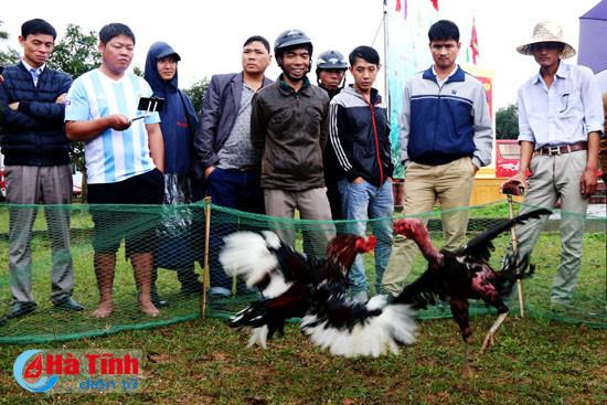 nhieu hoat dong vui choi giai tri dau xuan tai chua huong tich