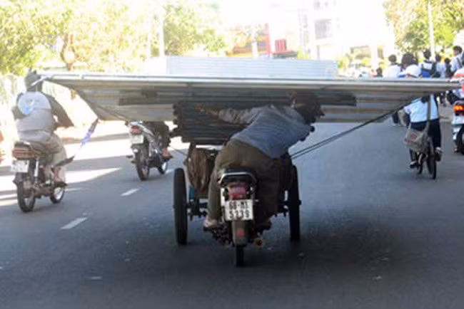 nga ngua voi nhung hinh anh kho do tren pho