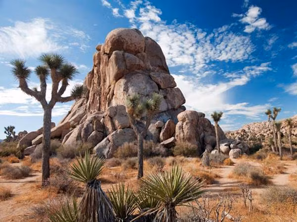 bo anh tuyet dep ve cong vien quoc gia my