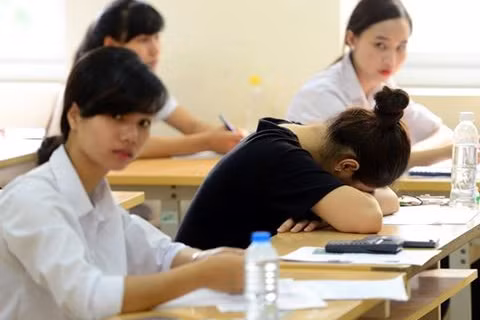 toi se khuyen con bot hoc di va choi nhieu hon